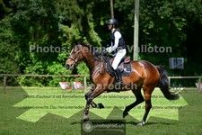 ref. photo 3676250