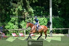 ref. photo 3676344