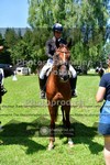 ref. photo 3676386