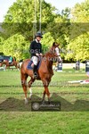 ref. photo 3676442