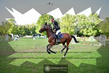 ref. photo 3676458
