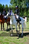 ref. photo 3676517