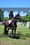 ref. photo 3676527