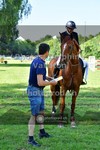 ref. photo 3676569