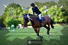 ref. photo 3676636