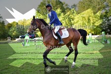 ref. photo 3676641