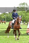 ref. photo 3203522