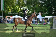 ref. photo 3676688