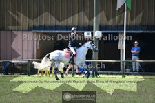 ref. photo 3676735