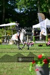 ref. photo 3676736