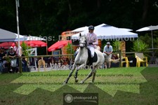 ref. photo 3676750