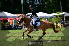 ref. photo 3676783