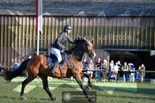 ref. photo 3676811
