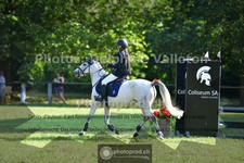 ref. photo 3676980