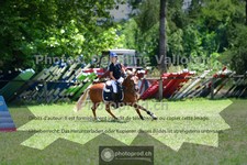 ref. photo 3677060