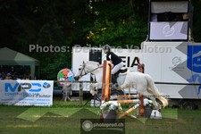 ref. photo 3677081