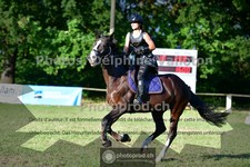 ref. photo 3677110