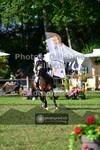 ref. photo 3677533