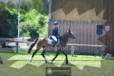 ref. photo 3677544