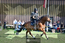ref. photo 3677687