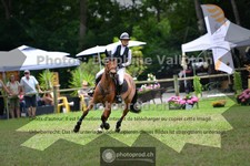 ref. photo 3677718