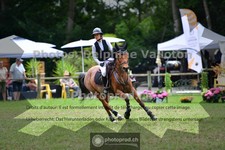 ref. photo 3677724