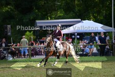 ref. photo 3677842