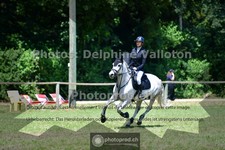 ref. photo 3677903