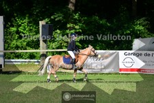 ref. photo 3678099