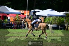ref. photo 3678121