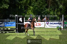 ref. photo 3678124