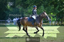 ref. photo 3678256