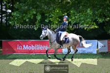 ref. photo 3678301
