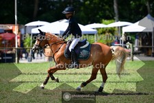 ref. photo 3678319