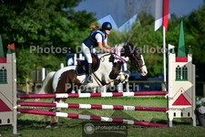 ref. photo 3678345