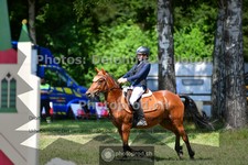ref. photo 3678422