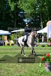 ref. photo 3678425