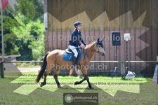 ref. photo 3678641