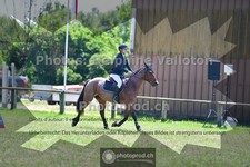 ref. photo 3678655