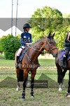 ref. photo 3678720