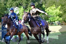 ref. photo 3678736