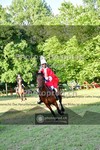 ref. photo 3678737