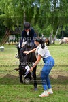 ref. photo 3678748