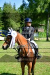 ref. photo 3678828