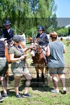 ref. photo 3678876