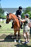 ref. photo 3678890
