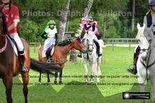 ref. photo 3206315