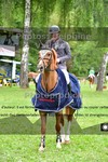 ref. photo 3206408