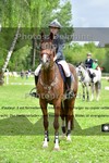 ref. photo 3206421