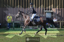 ref. photo 3680296